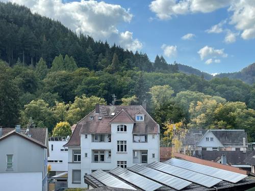 Black Forest Apartment