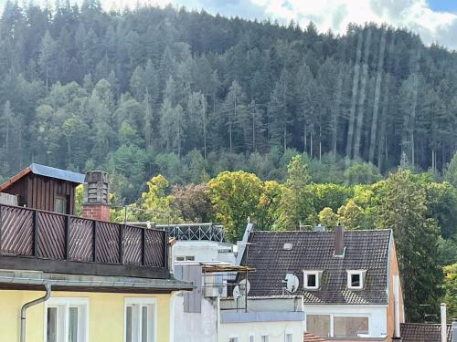 Black Forest Apartment