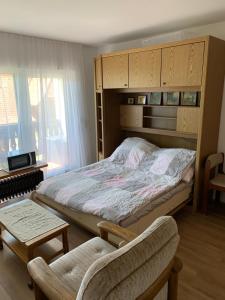 Appartement Black Forest Liftstraße 63 79737 Herrischried Bade-Wurtemberg
