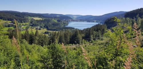 Black Forest Schwarzwaldblick Pool Netflix WiFi