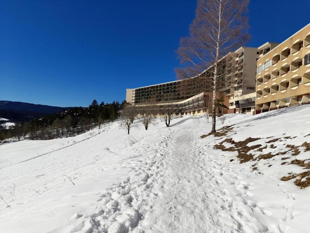 Black Forest Stay - Apartment Hirschperle