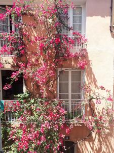 Blue Palm Apartment