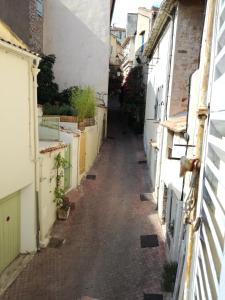 Blue Palm Apartment