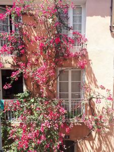 Appartement Blue Palm Apartment 2 Rue Lamalgue 83400 Hyères Provence-Alpes-Côte d\'Azur