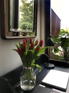 Boavista Charming Apartment with Garden by Great&Cosy