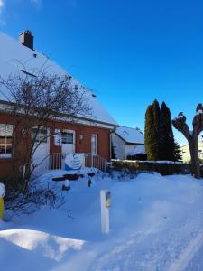 Boddenhecht