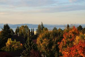 BodenSEE Apartment Friedrichshafen \