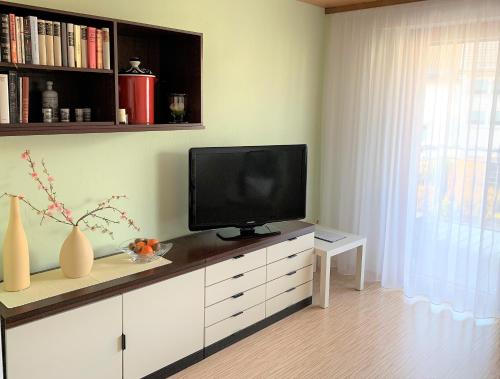 BodenSEE Apartment Friedrichshafen Manzell