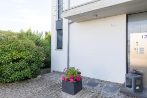 BodenSEE Apartment Überlingen \