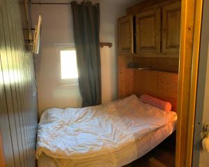 Boost Your Immo Les Deux Alpes 145 / Arc en ciel