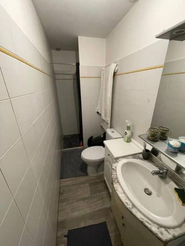 Bordeaux: appartement cosy
