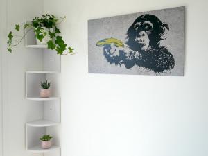 Botanic Garden Studio cosy, Parking, Métro, Netflix