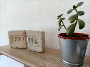 Boulogne sur mer, Appartement chaleureux proche des remparts