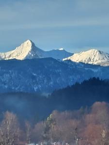 Bräustüberl - Zugspitze