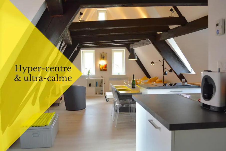 Appartement Bretzel & Raisin - Hypercentre de Colmar 7 Rue de l'Ange 68000 Colmar