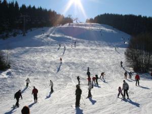 Appartement Bright and modern maisonette in Winterberg with balcony and children's play area  59955 Winterberg Rhénanie du Nord - Westphalie