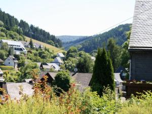 Bright and spacious flat in Schwalefeld near Willingen with private terrace