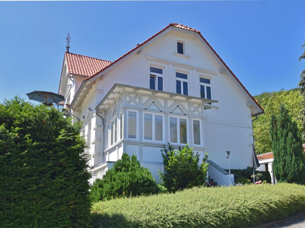 Appartement Bright ground floor apartment in Blankenburg in the Harz Mountains with wood stove and library  38889 Blankenburg