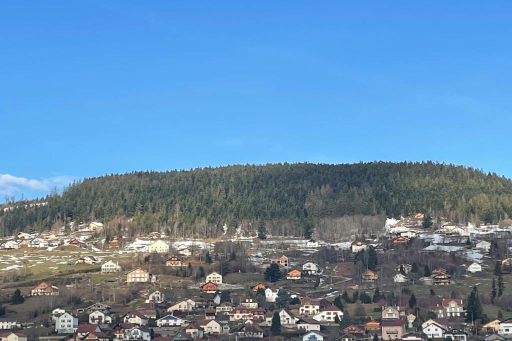 Bright nest with mountain view in Gérardmer 45 Bd de Saint-Dié, 88400 Gérardmer