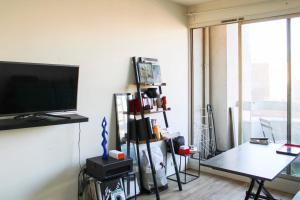 Bright studio with terrace and free view
