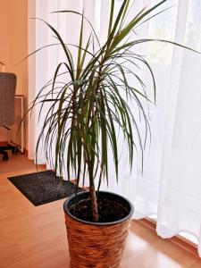 BRISE Business Apartment nahe Leipziger Messe - Porsche - BMW - DHL - WLAN - Parkplatz - business travelers only