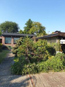 Appartement Bungalow 3-Zimmer / Wlan / Garten / Parkplatz 59 Schulstraße 22869 Stadt Schenefeld Schleswig-Holstein