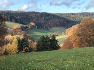 Appartement Burg Freienstein Blick 4 Sterne mit Sauna Oberer Bergweg 9 64760 Gammelsbach Hesse