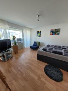 Business Apartment in Rheinfelden(Baden)