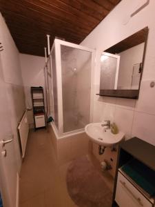 Business Apartment in Rheinfelden(Baden)