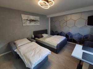 Business Style Apartment Ludwigshafen *Free Parking and WiFi*