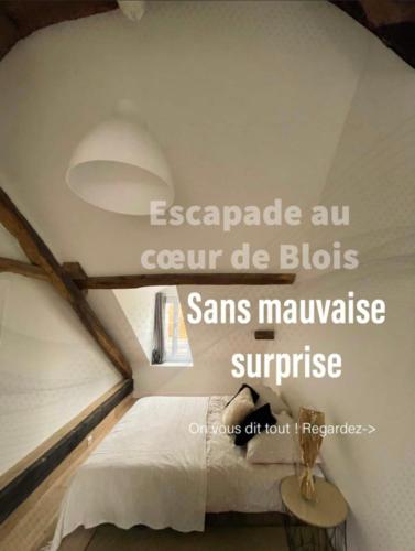 Cœur de Blois centre historique