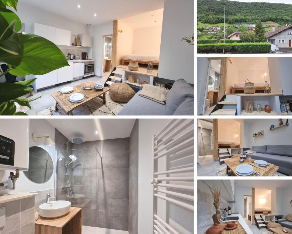 Appartement CABANA & Bois Dormant 1337 Route d'Albertville 74320 Sévrier