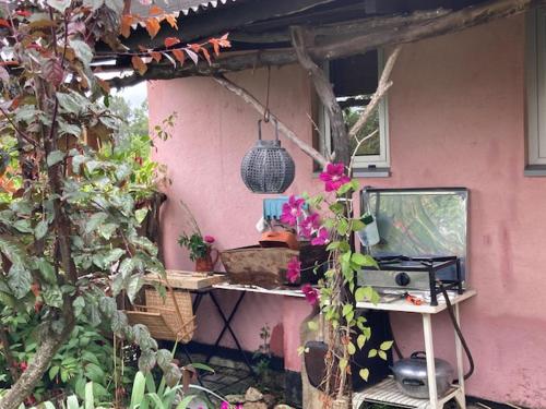 Cabana do Dinamarquês em Arga de Baixo
