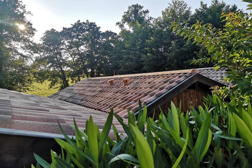 Appartement Cabane chic et romantique MERLOT près de Bordeaux 76 bis Route de la Barade 33450 Saint-Sulpice-et-Cameyrac