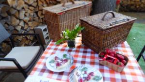 CABANE perchée dans les arbres et terrasse ensoleillée