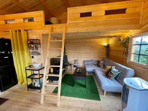 Cabane Pomme de pin