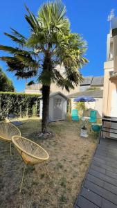 Cabourg au Grand Palmier Appartement T2