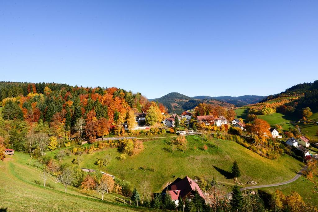 Café Pension Waldfrieden Forsthausstraße 19, 77740 Bad Peterstal-Griesbach