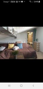 Appartement Cal tistu 23 Rue de la Mouline 66210 Matemale Languedoc-Roussillon