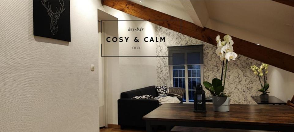 Appartement Calm & Cosy 8 Rue Nicolas Colson 57800 Freyming-Merlebach