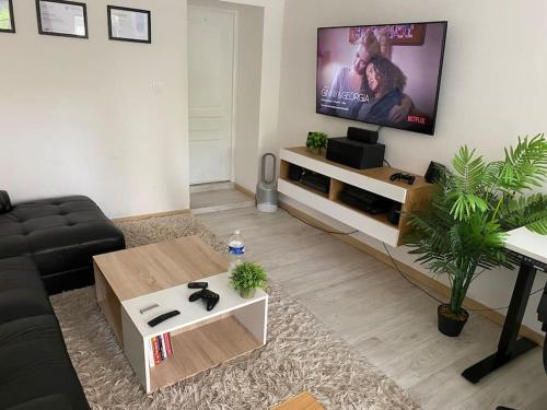 Appartement calme & chaleureux à 55min de Disney Villeneuve-sur-Bellot france