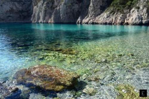CALYPSO