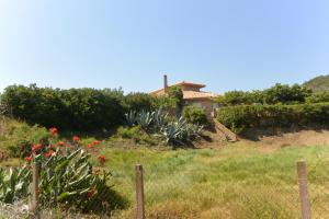 CANELLA 5
