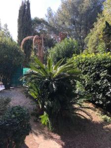 CANNES Appartement rez-de-jardin