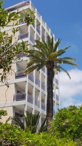 Appartement Cannes Eden mon P'tit Paradis 28 avenue de grasse 06400 Cannes Provence-Alpes-Côte d\'Azur