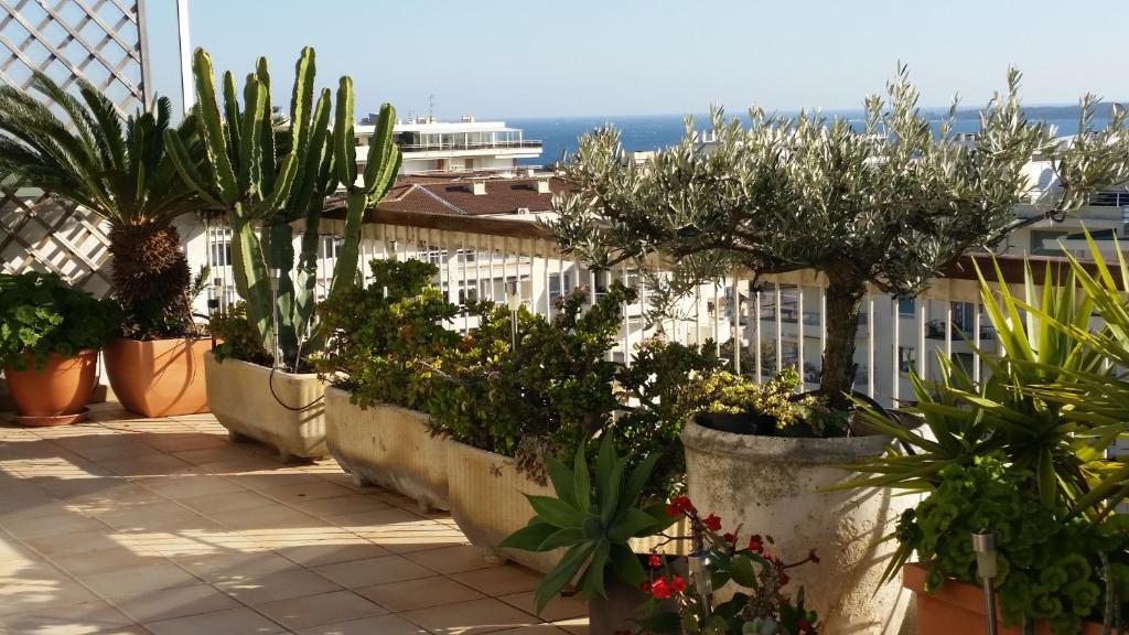 Cannes Marechal Juin Two Bedrooms 60 Avenue Maréchal Juin, 06400 Cannes