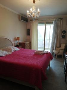 Cannes Mimosas One Bedroom