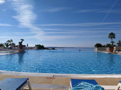 Cannes & More