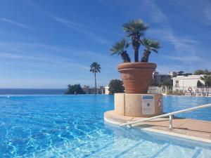 Cannes & More