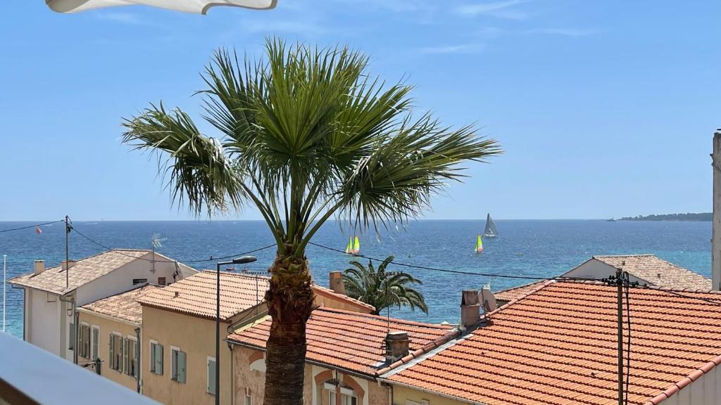 Appartement Cannes Pointe Croisette : superbe logement vue mer 2 Rue du Golfe Juan 06400 Cannes